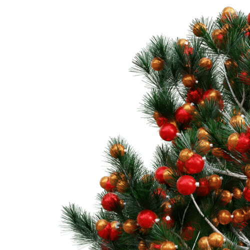 Festive Christmas Lighting detail: Close-up of a decorated Christmas tree with red and gold ornaments against a solid green backdrop.