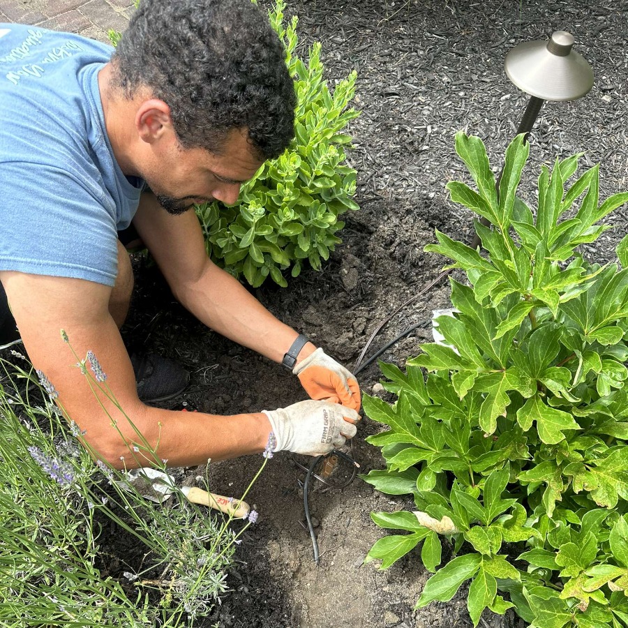 Man installing landscape lighting in a garden bed with lavender and other plants. He's wearing gloves and working on the wiring near an outdoor light fixture.