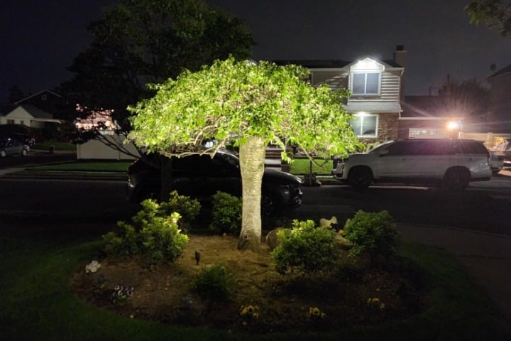 Nighttime landscape lighting highlighting a small tree and surrounding garden bed. A suburban home and parked cars are visible in the background.