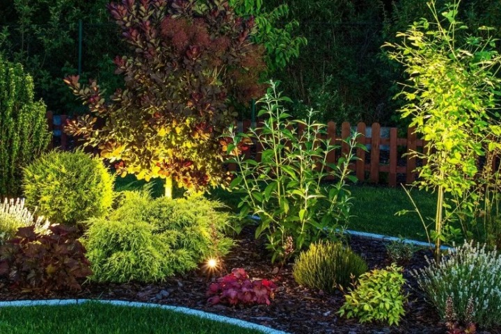 Lush garden illuminated with landscape lighting at night. Warm Christmas lighting highlights various plants and shrubs, creating a magical "Home" ambiance.